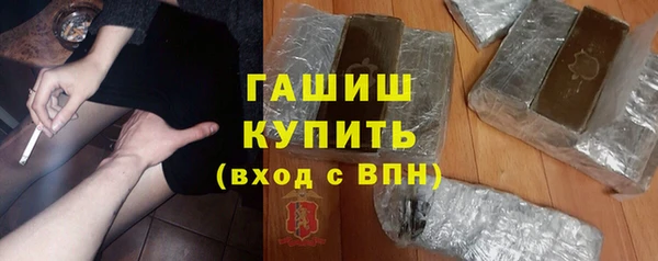прущие грибы Дмитров