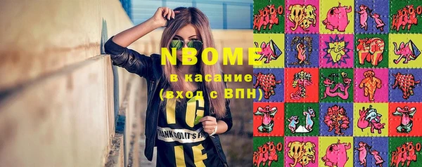 прущие грибы Дмитров