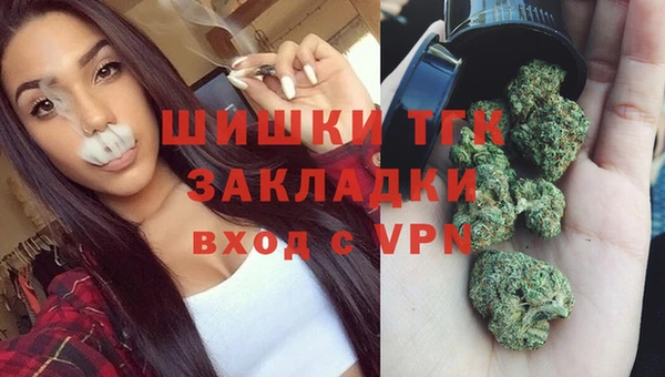 прущие грибы Дмитров