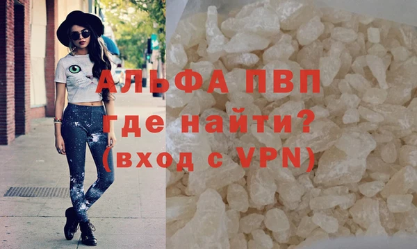 эйфоретик Дмитриев