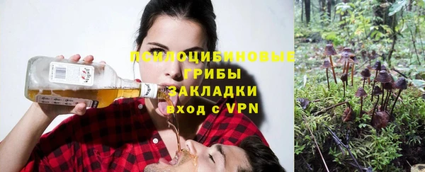эйфоретик Дмитриев