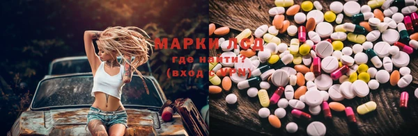 прущие грибы Дмитров