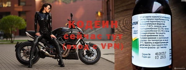 эйфоретик Дмитриев