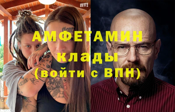 прущие грибы Дмитров