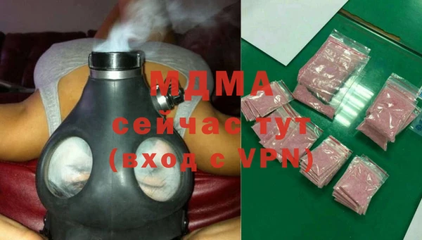 прущие грибы Дмитров